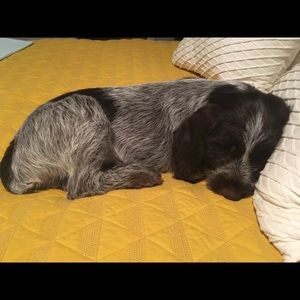 Meet your Posher, Vena